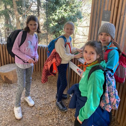 Alpenzoo