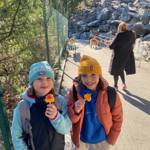 Alpenzoo
