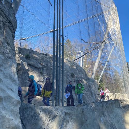 Alpenzoo
