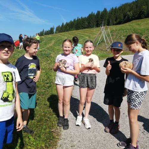 Gruppe