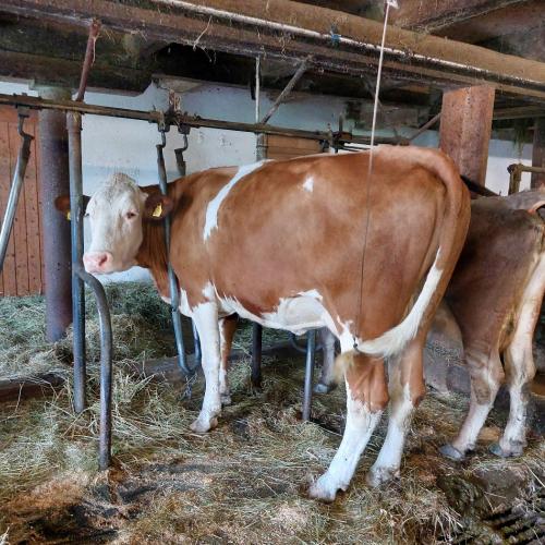 Bauernhof_2a_2024_25