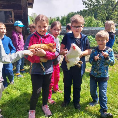 Bauernhof_2a_2024_25