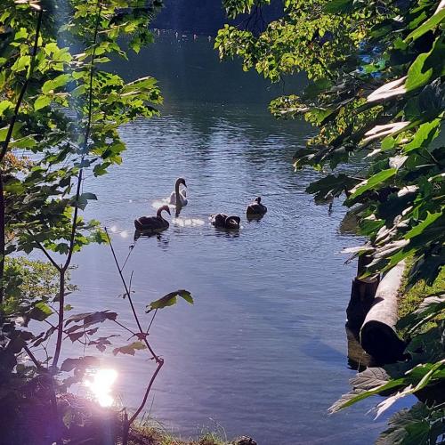 Wandertag_3a__2025_26