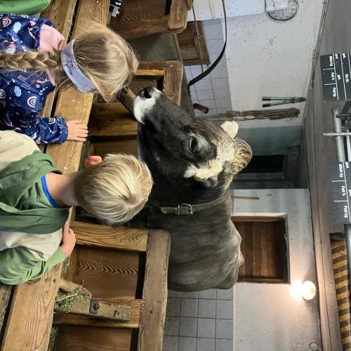 Ausflug zum Bauernhof_2a
