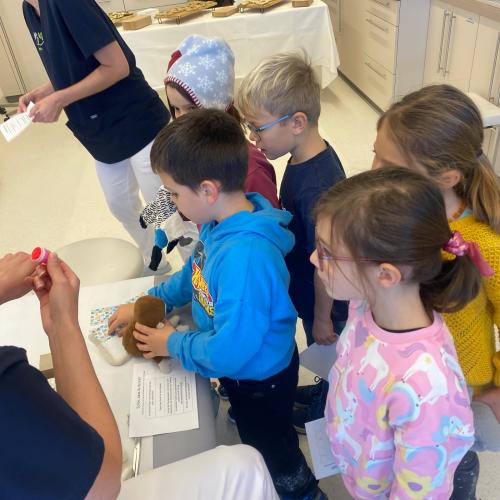 Teddybärkrankenhaus