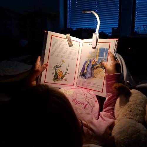 lesen