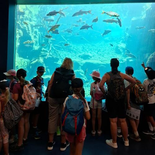 Fische