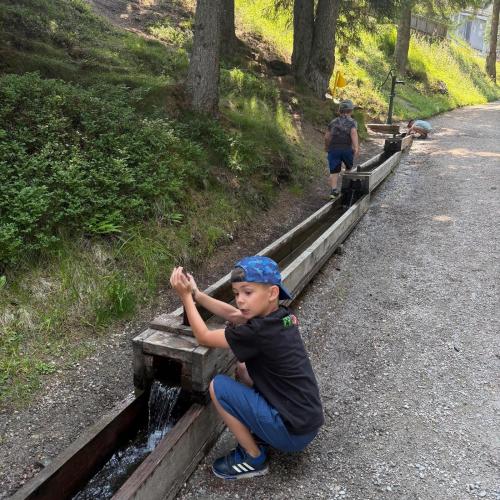 Lauserland