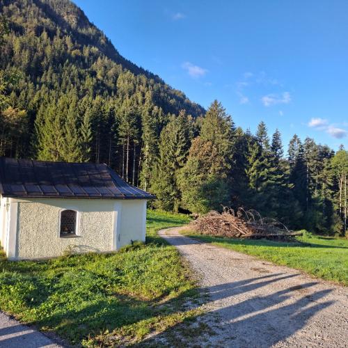 Herbstwanderung_4ab_2026_27