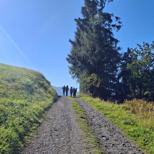Herbstwanderung_4ab_2026_27