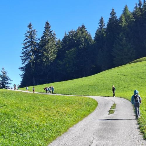 Herbstwanderung_4ab_2026_27