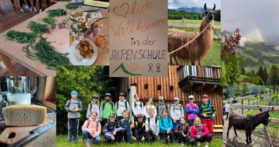 alpenschule4a
